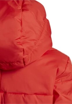 Adidas Originals Padded Kids Unisex - Veste D'Hiver - Vivid Red -ASOS 03ff25d9b1624ed2b8f5b6f359ef89bf