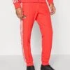 Adidas Originals BENFICA LISBOA ICON TRACK PANT - Article De Supporter D'équipe De Club - Benfica Red