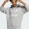 Adidas Originals Trefoil - Sweat À Capuche - Medium Grey Heather