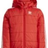 Adidas Originals Padded Kids Unisex - Veste D'Hiver - Vivid Red