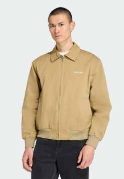 Adidas Originals GRAPHIC REG - Veste De Survêtement - Orbit Green