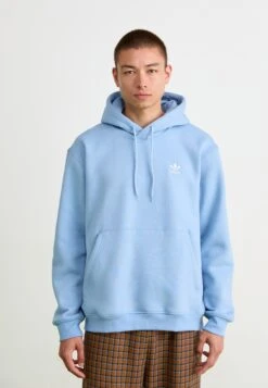 Adidas Originals LOOSE - Sweatshirt - Ash Blue
