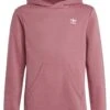 Adidas Originals Junior - Sweat À Capuche - Pink Strata