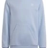 Adidas Originals Junior - Sweat À Capuche - Blue Dawn