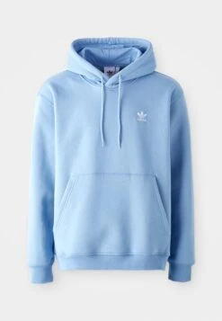 Adidas Originals LOOSE - Sweatshirt - Ash Blue -ASOS 86dec476855a4f6e9cafb98ca092b80d 1