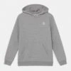 Adidas Originals Junior - Sweat À Capuche - Medium Grey Heather/White