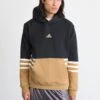 Adidas Originals ARCHIVE HOODIE - Sweatshirt - Black/cardboard