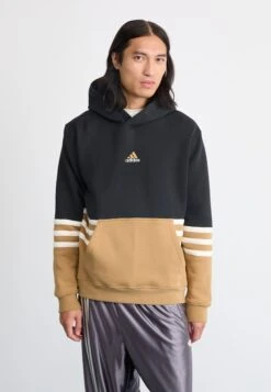 Adidas Originals ARCHIVE HOODIE - Sweatshirt - Black/cardboard