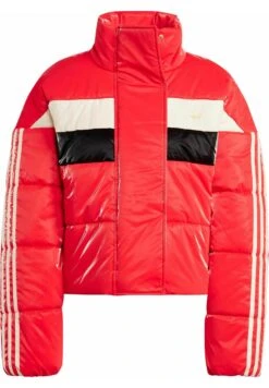 Adidas Originals Ski Chic - Veste D'Hiver - Vividred