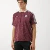 Adidas Originals AJAX ICON JERSEY - T-shirt Imprimé - Victory Crimson