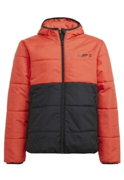 Adidas Originals Adventure - Veste D'Hiver - Bright Red / Black